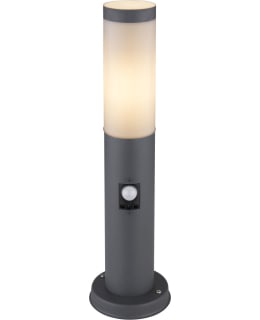 GLOBO BOSTON ANT 45CM LIIKETUN PYLVÄSVAL Main Image