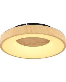 GLOBO JOLLI 40 CCT PUU/OPAALI PLAFONDI Main Image