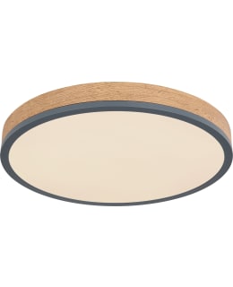 GLOBO DORO CCT 45 THA/LPUU LED PLAFONDI Main Image