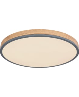 GLOBO DORO CCT 60 THA/LPUU LED PLAFONDI Main Image