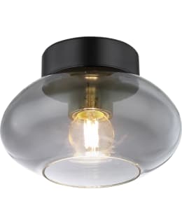 GLOBO METALLI/LASI 1XE27 MU/SAV KATTOVAL Main Image