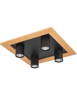 CEILING LAMP VALCASOTTO 1 LED BLACK/WOOD Main Image
