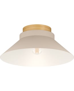 EGLO MOHARRAS CEIL.LIGHT Main Image