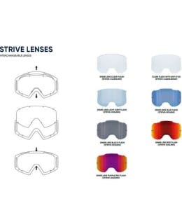 SPECT RED BULL 674-219006 STRIVE LINSSI Main Image
