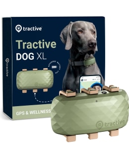 TRACTIVE GPS DOG XL GREEN Main Image