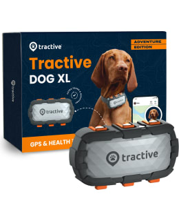 TRACTIVE KOIRA XL ADVENTURE 4G Main Image