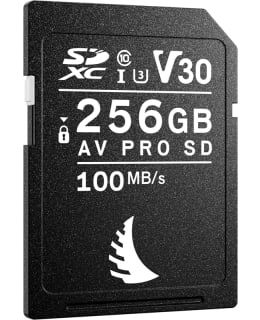 ANGELBIRD 126490 SD AV PRO SDXC, SD 6.1, Main Image