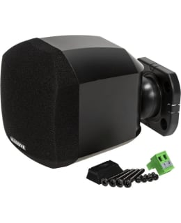 MASSIVE AUDIO S2 SATELLIITTIKAIUTIN Main Image