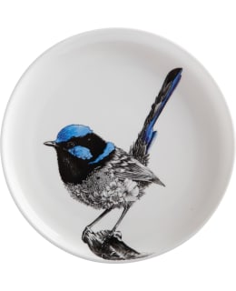 MAXWELL MF FAIRY WREN 20CM LAUTANEN Main Image