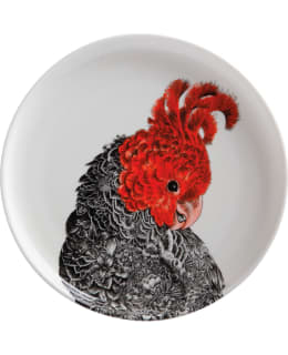 Maxwell & Williams Marini Ferlazzo Gang Gang Cockatoo 20cm lautanen Main Image