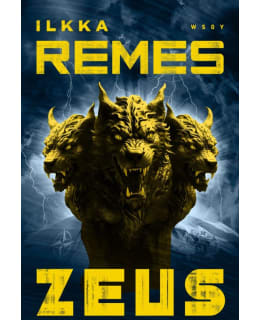 REMES: ZEUS Main Image