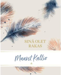 KALLIO: SINÄ OLET RAKAS Main Image