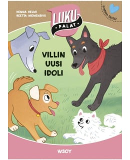 VILLIN UUSI IDOLI Main Image