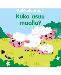 BARETTI: KUKA ASUU MAALLA? Main Image