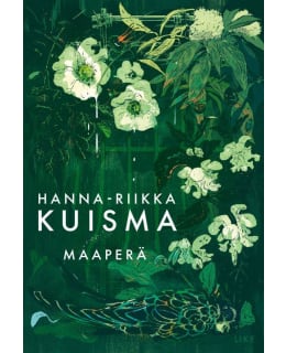 MAAPERÄ Main Image