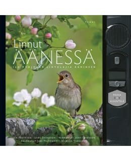 PEDERSEN: LINNUT ÄÄNESSÄ Main Image