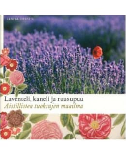DROSTEL: LAVENTELI, KANELI JA RUUSUPUU Main Image