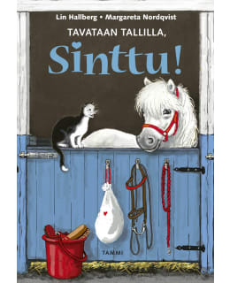 HALLBERG: TAVATAAN TALLILLA, SINTTU! Main Image