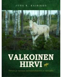 KAIRIKKO: VALKOINEN HIRVI Main Image