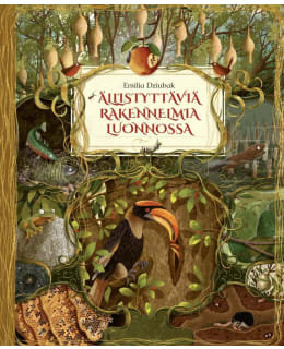 DZIUBAK: ÄLLISTYTTÄVIÄ RAKENNELMIA LUON Main Image