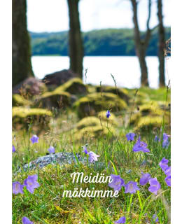 VARPU: MEIDÄN MÖKKIMME Main Image
