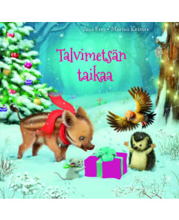 FREY: TALVIMETSÄN TAIKAA Main Image