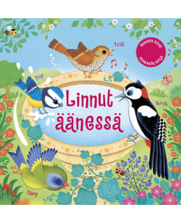 IOSSA:LINNUT ÄÄNESSÄ Main Image