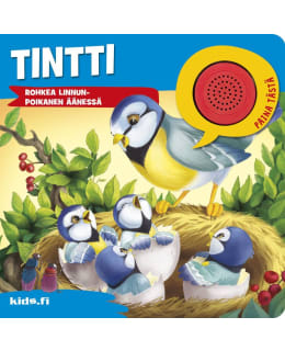 TINTTI ROHKEA LINNUNPOIKANEN ÄÄNESSÄ Main Image