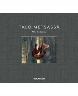 Mika Honkalinna: Talo metsässä Main Image