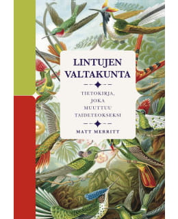 MATT MERRITT: LINTUJEN VALTAKUNTA Main Image