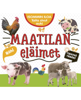 ISOMMIN ILOA MAATILA LASTENKIRJA Main Image
