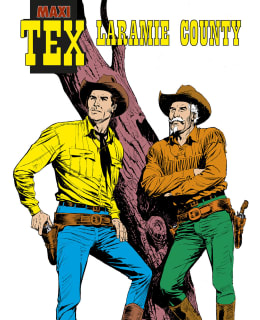 MAXI-TEX 49: LARAMIE COUNTY Main Image