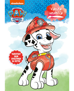 RYHMÄ HAU VÄRITÄ VEDELLÄ VÄRITYSKIRJA Main Image