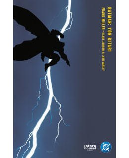 BATMAN - YÖN RITARI Main Image