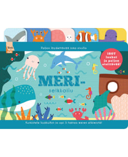 MERISEIKKAILU Main Image