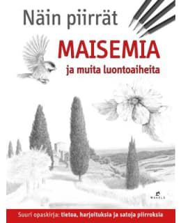 NÄIN PIIRRÄT MAISEMIA JA MUITA LUONTOAI Main Image