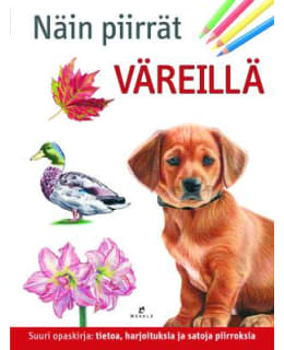 FOSTER: NÄIN PIIRRÄT VÄREILLÄ Main Image