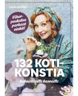 SCHILEN: 132 KOTIKONSTIA KUKOISTAVILLE Main Image