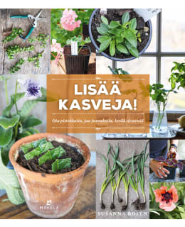 Susanna Rosen: Lisää kasveja! Ota pistokkaita, jaa juurakoita, kerää siemeniä Main Image