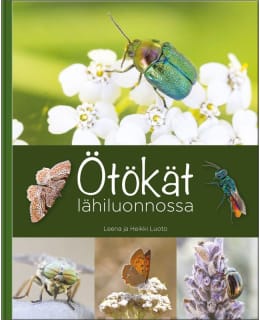 LUOTO: ÖTÖKÄT Main Image