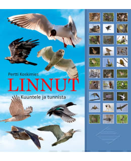 KOSKIMIES: LINNUT-KUUNTELE JA TUNNISTA Main Image