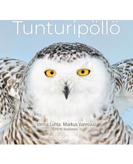 LUHTA, KOSKIMIES: TUNTURIPÖLLÖ Main Image