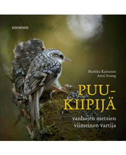 KUITUNEN, STRANG: PUUKIIPIJÄ Main Image
