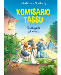 REIDER: TUNKEILIJOITA TAKAPIHALLA Main Image