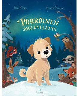 COULMANN: PÖRRÖINEN JOULUYLLÄTYS Main Image