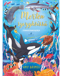 GRIMES: MERTEN SYVYYKSISSÄ Main Image