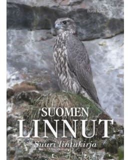 KOSKIMIES: SUOMEN LINNUT 2025 Main Image
