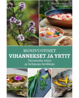 LEHTONEN: MONIVUOTISET VIHANNEKSET JA YR Main Image