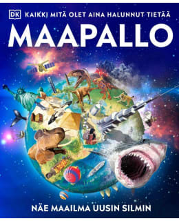 MAAPALLO KAIKKI MITÄ OLET AINA Main Image