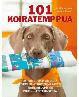 101  KOIRATEMPPUA Main Image